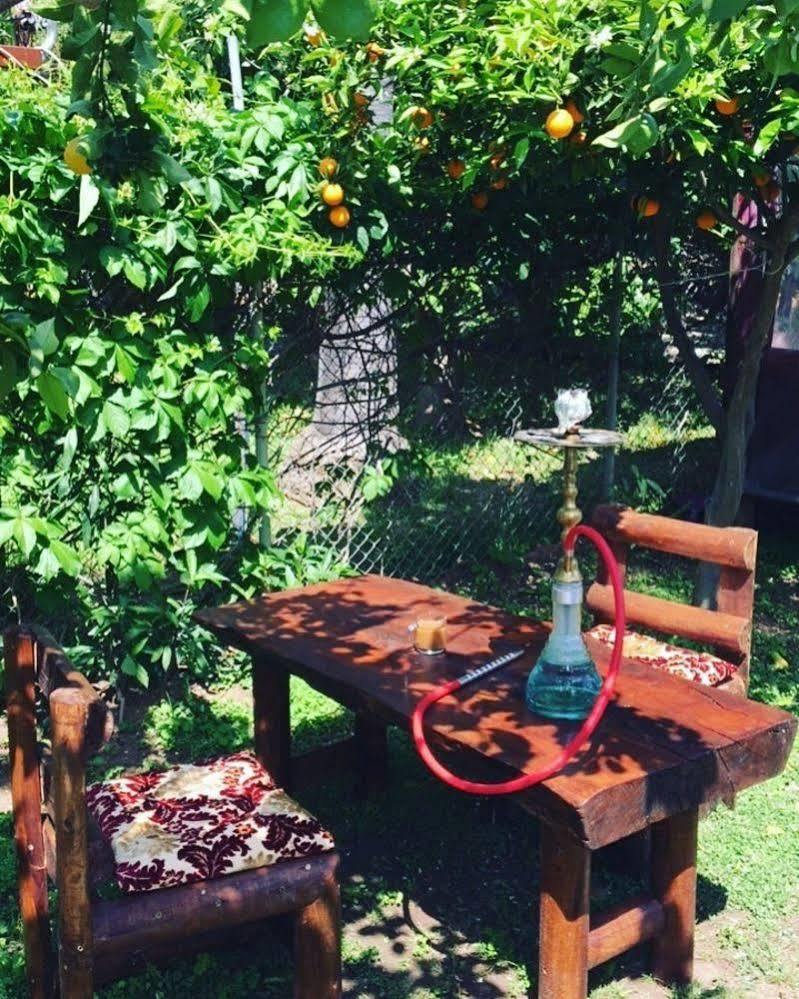 Alican Pension Cirali Bagian luar foto