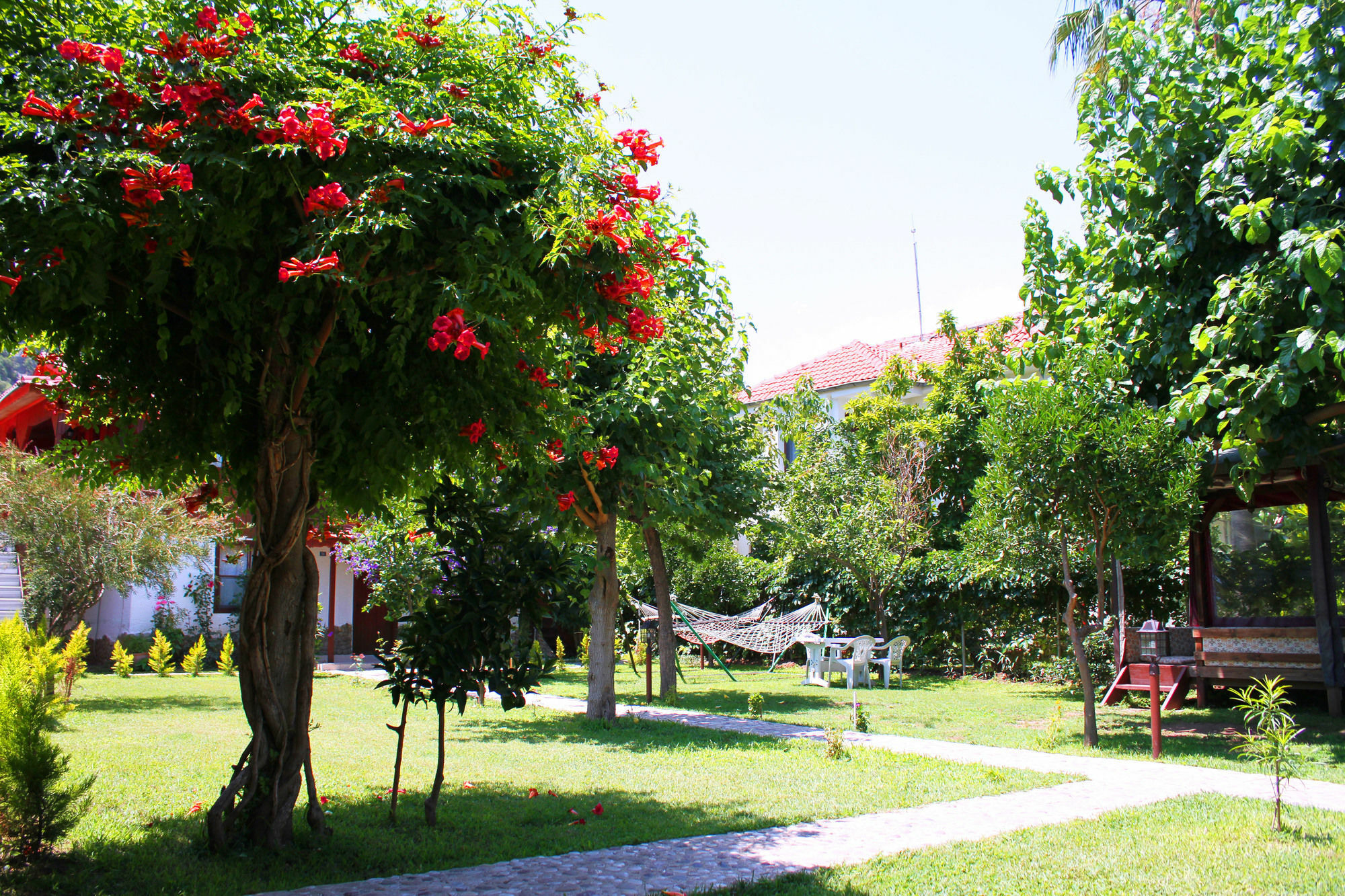 Alican Pension Cirali Bagian luar foto